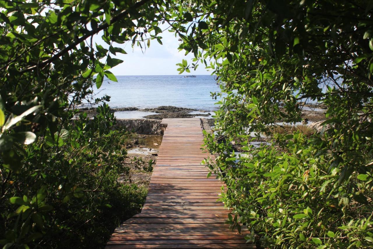 Amplio Estudio En Cozumel, Privado E12